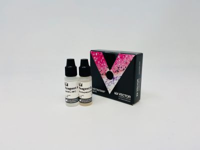 DuoLuX? Chemiluminescent and Fluorescent Substrate, Peroxidase (HRP)