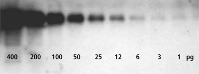 DuoLuX? Chemiluminescent and Fluorescent Substrate, Peroxidase (HRP)