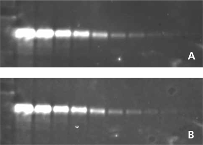 DuoLuX Substrate Fluorescent Properties DuoLuX? Chemiluminescent and Fluorescent Substrate, Alkaline Phosphatase (AP)