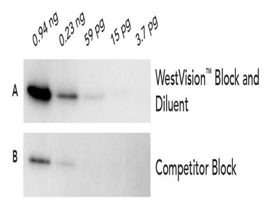 WestVision™ Peroxidase Polymer, Anti-Rabbit IgG (Western Blot Detection)