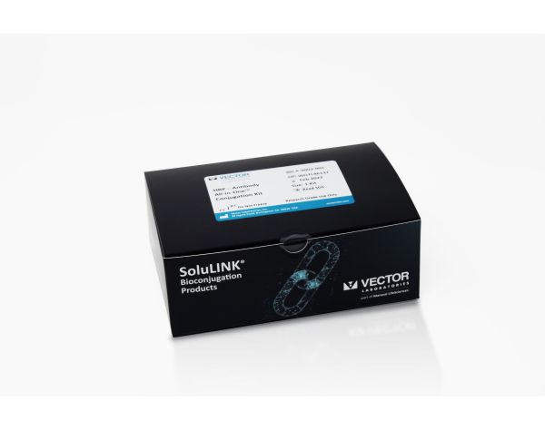 HRP–Antibody All-in-One™ Conjugation Kit