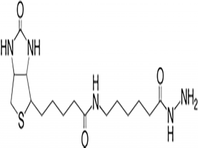 Goat Anti-Biotin, Peroxidase Conjugated
