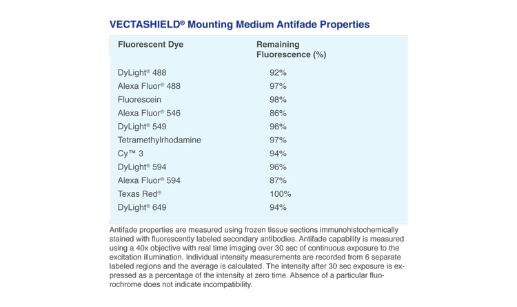VECTASHIELD? HardSet™ Antifade Mounting Medium with Phalloidin