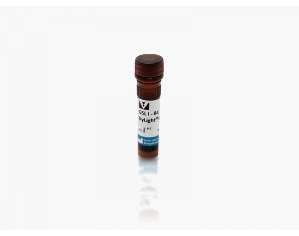 Griffonia Simplicifolia Lectin I (GSL I) isolectin B4, DyLight? 649
