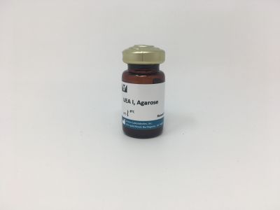 Ulex Europaeus Agglutinin I (UEA I), Fluorescein