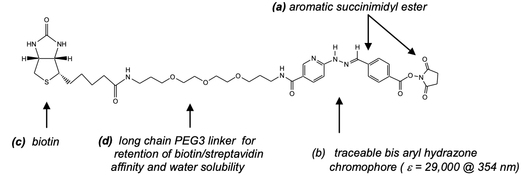 ChromaLINK? Biotin Protein Labeling Kit