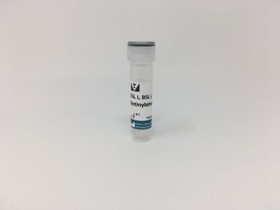 Griffonia (Bandeiraea) Simplicifolia Lectin I (GSL I, BSL I), Fluorescein