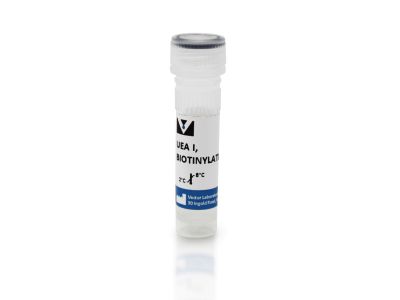 Ulex Europaeus Agglutinin I (UEA I), DyLight? 649