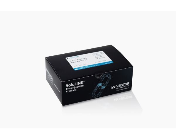 R-PE Antibody Conjugation Kit