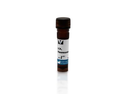 Lens Culinaris Agglutinin (LCA), Unconjugated