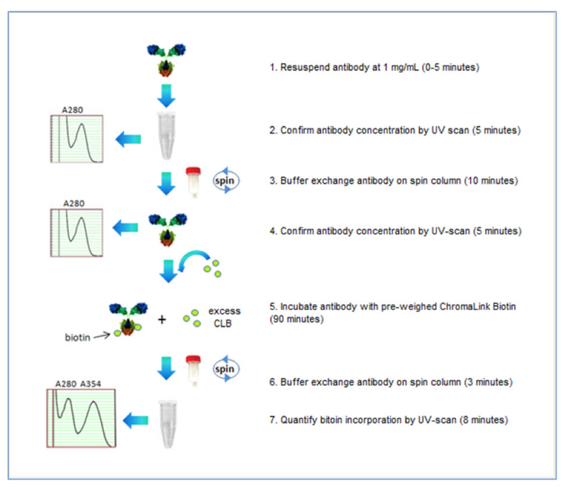 ChromaLINK? One-Shot™ Antibody Biotinylation Kit