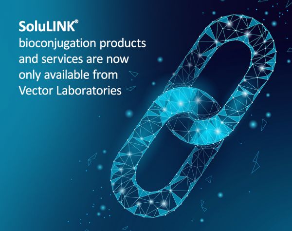 Antibody–Oligonucleotide All-in-One™ Conjugation Kit