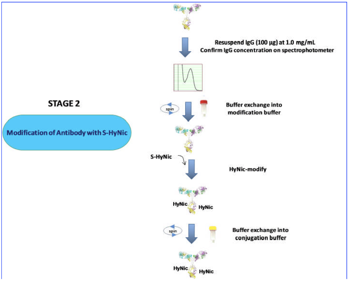 Antibody–Oligonucleotide All-in-One™ Conjugation Kit