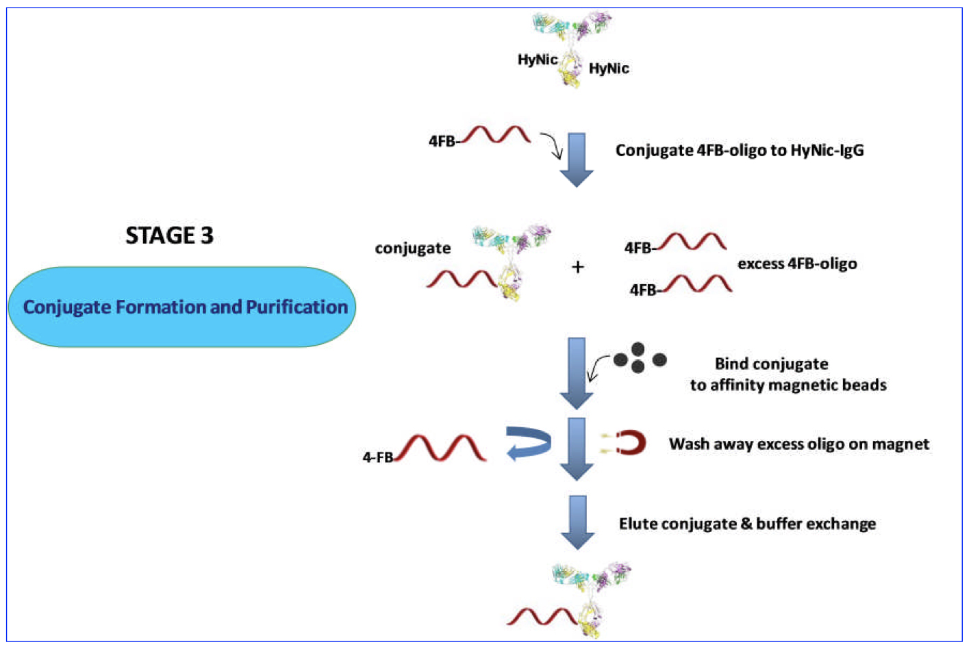 Antibody–Oligonucleotide All-in-One™ Conjugation Kit