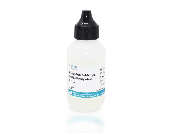 Horse Anti-Rabbit IgG Antibody (H+L), Biotinylated, R.T.U.