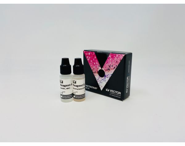 VECTASTAIN? ABC-HRP Kit, Peroxidase (Standard)