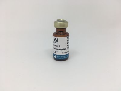 Ricinus Communis Agglutinin I (RCA I, RCA120), Fluorescein