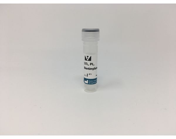 Solanum Tuberosum (Potato) Lectin (STL, PL), Biotinylated