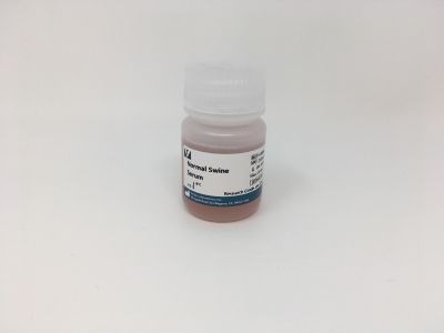 Normal Horse Serum Blocking Solution, 2.5%