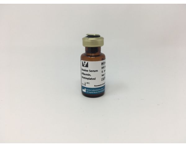 Bovine Serum Albumin (BSA), Biotinylated