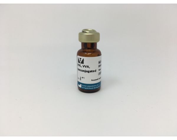 Vicia Villosa Lectin (VVL, VVA), Unconjugated