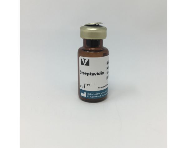 Streptavidin