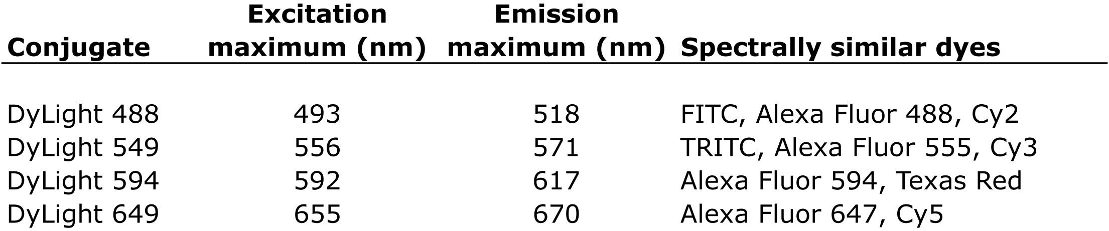 DyLight Table VectaFluor™ Horse Anti-Mouse IgG, DyLight? 594 Antibody Kit, R.T.U.