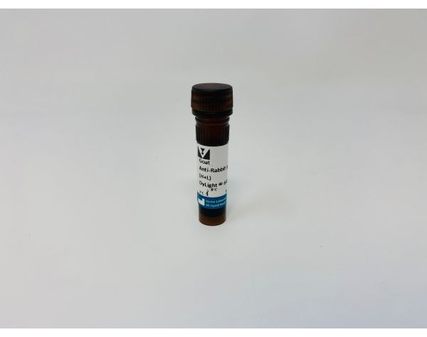 Goat Anti-Rabbit IgG Antibody (H+L), DyLight? 649