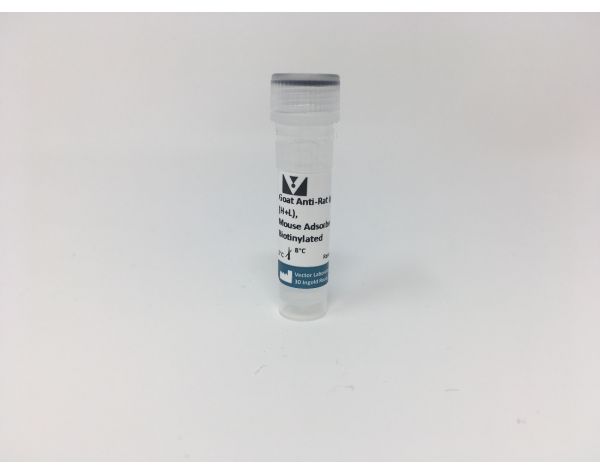 Goat Anti-Rat IgG Antibody, mouse adsorbed (H+L), Biotinylated