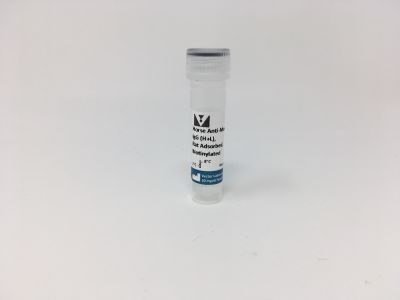 VECTASTAIN? Elite ABC-HRP Kit, Peroxidase (Mouse IgG)