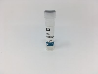 Datura Stramonium Lectin (DSL), Unconjugated