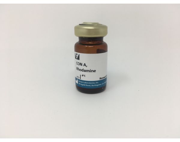 Concanavalin A (Con A), Rhodamine