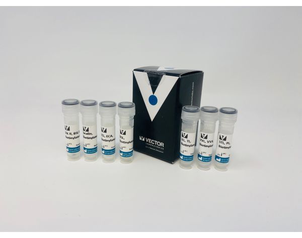 Lectin Kit III, Biotinylated