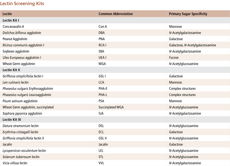 Lectin Screening Kits Lectin Kit III, Biotinylated