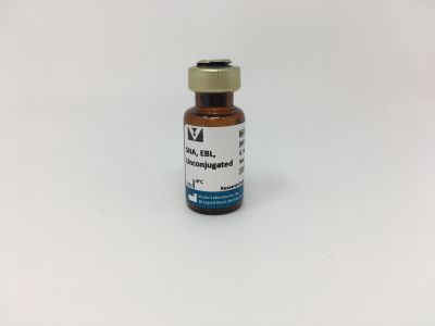 Sambucus Nigra Lectin (SNA, EBL), Fluorescein