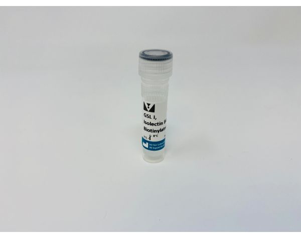 Griffonia Simplicifolia Lectin I (GSL I) isolectin B4, Biotinylated