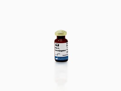 Goat Anti-Phaseolus Vulgaris Agglutinin (E+L), Unconjugated