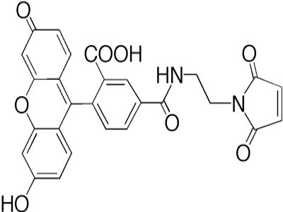 3' EndTag DNA End Labeling System