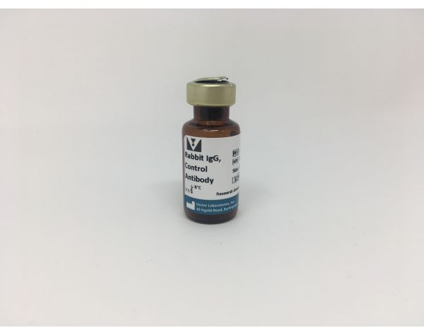 Rabbit IgG, Control Antibody