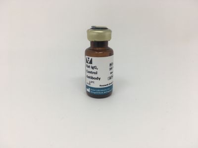 Rabbit IgG, Control Antibody