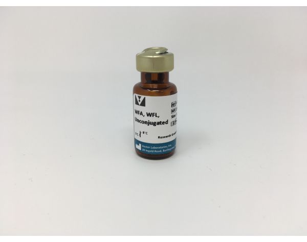 Wisteria Floribunda Lectin (WFA, WFL), Unconjugated