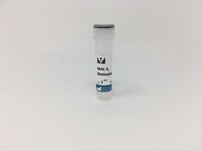 Maackia Amurensis Lectin II (MAL II), Unconjugated