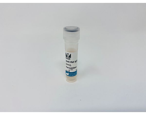Goat Anti-Rat IgG Antibody (H+L), Peroxidase