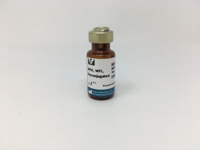 Wisteria Floribunda Lectin (WFA, WFL), Fluorescein