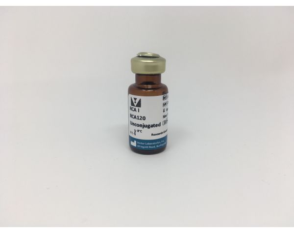 Ricinus Communis Agglutinin I (RCA I, RCA120), Unconjugated