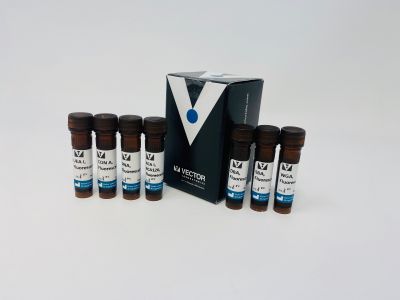 Lectin Kit I, Biotinylated