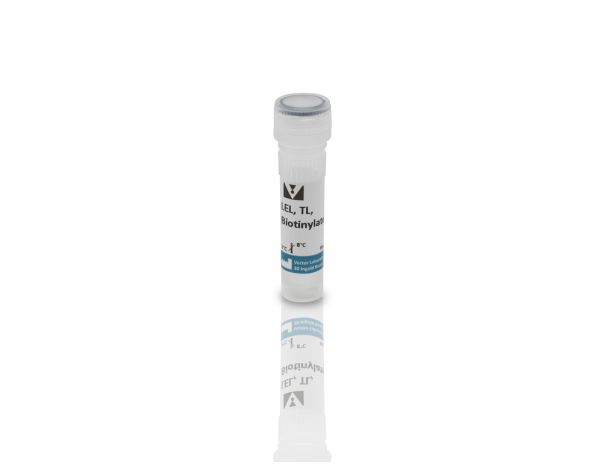 Lycopersicon esculentum (Tomato) Lectin (LEL, TL), Biotinylated