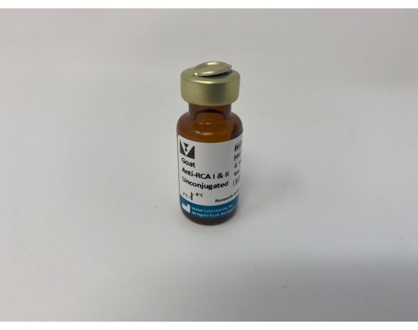 Goat Anti-Ricinus Communis Agglutinin (RCA) I & II, Unconjugated